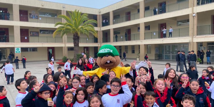 CONAF Maule conmemora el Día Mundial del Medio Ambiente con actividades de educación ambiental, prevención y restauración ecológica