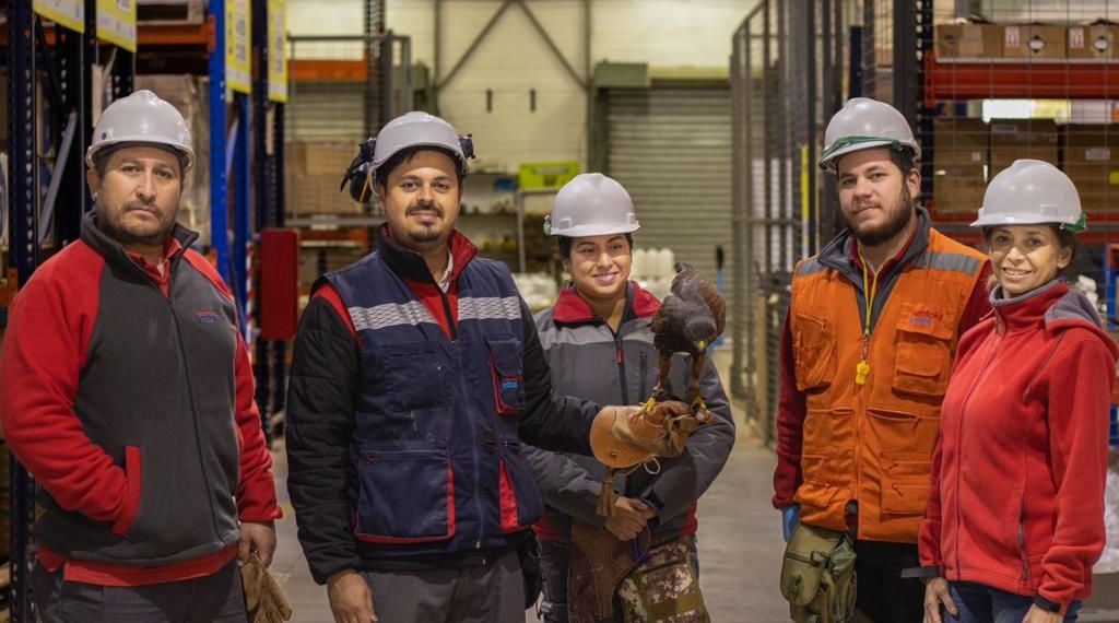 Rentokil Chile Impulsa la cetrería como control de plagas biológico y sostenible