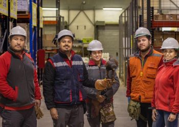 Rentokil Chile Impulsa la cetrería como control de plagas biológico y sostenible