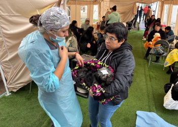 Realizan mil esterilizaciones caninas y felinas en la comuna de San Javier