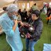 Realizan mil esterilizaciones caninas y felinas en la comuna de San Javier
