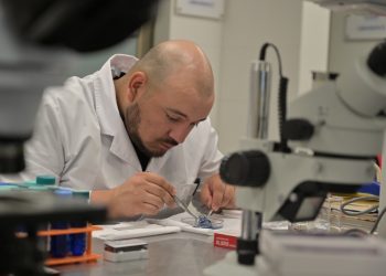 Atención: Gobierno del Maule abre nueva convocatoria para financiar iniciativas de innovación, productividad y desarrollo