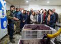 Trongkai inauguró en el Maule planta piloto que transforma residuos agroindustriales en ingredientes para nutrición animal