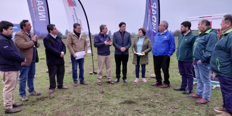 Subsecretario de Agricultura destaca entrega de indemnizaciones por más de $30 millones a productores afectados por influenza aviar y heladas