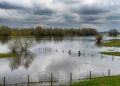 Frente a lluvias intensas: ¿Qué sectores de Chile son vulnerables a inundaciones?
