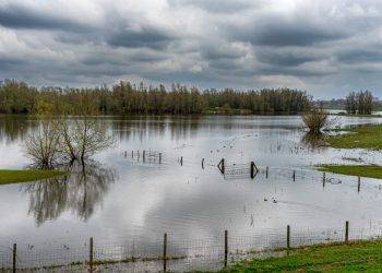 Frente a lluvias intensas: ¿Qué sectores de Chile son vulnerables a inundaciones?