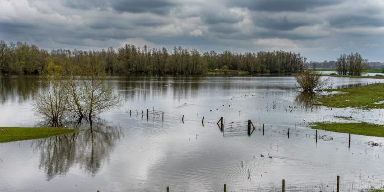 Frente a lluvias intensas: ¿Qué sectores de Chile son vulnerables a inundaciones?