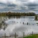 Frente a lluvias intensas: ¿Qué sectores de Chile son vulnerables a inundaciones?