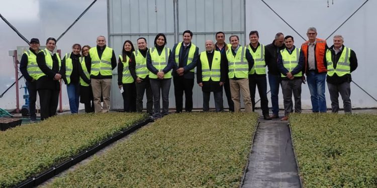 Innovación con sello regional: autoridades destacan a SynergiaBIO, empresa apoyada por FIA y referente en innovación agrícola