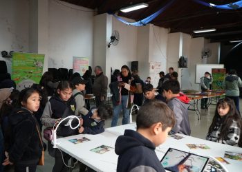 Estudiantes disfrutan y aprenden de forma interactiva sobre insectos