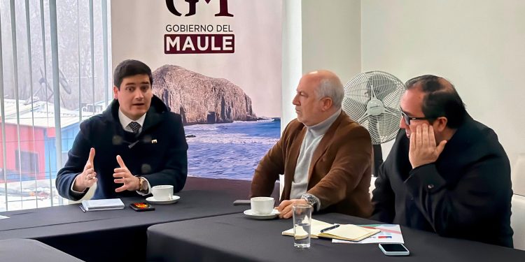 Seremi del Trabajo participa en Consejo Regional de Capacitación para fortalecer el empleo en el Maule