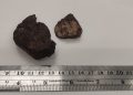 Día Internacional de los Asteroides: especialistas destacan la necesidad de proteger los meteoritos encontrados en Chile