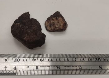 Día Internacional de los Asteroides: especialistas destacan la necesidad de proteger los meteoritos encontrados en Chile