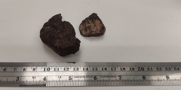 Día Internacional de los Asteroides: especialistas destacan la necesidad de proteger los meteoritos encontrados en Chile