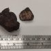 Día Internacional de los Asteroides: especialistas destacan la necesidad de proteger los meteoritos encontrados en Chile