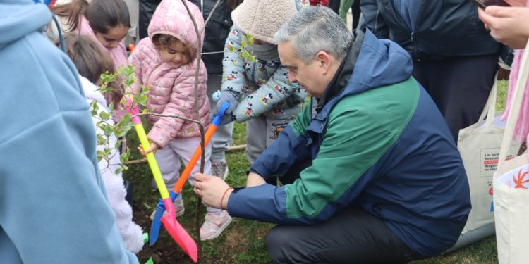 CONAF y Municipalidad de Maule lanzan programa “Mi Pueblo, Mi Árbol” para impulsar la arborización con especies nativas