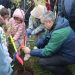 CONAF y Municipalidad de Maule lanzan programa “Mi Pueblo, Mi Árbol” para impulsar la arborización con especies nativas
