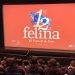 Festival de Cine Felina abre convocatoria para su edición 2026