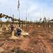 CNR fortalece la mediana agricultura del Maule con riego tecnificado