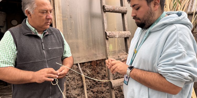 Tejiendo Redes UCM es reconocido entre las mejores experiencias globales de aprendizaje-servicio