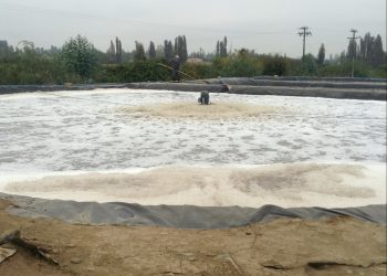Segundo Tribunal Ambiental rechazó reclamación de Embotelladora Metropolitana por multa a Planta de Residuos Industriales Líquidos ubicada en Colbún