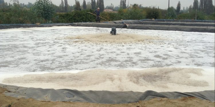 Segundo Tribunal Ambiental rechazó reclamación de Embotelladora Metropolitana por multa a Planta de Residuos Industriales Líquidos ubicada en Colbún