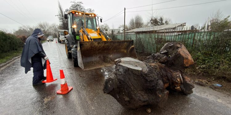 Municipalidad de Talca mantiene la ciudad operativa durante la segunda jornada del sistema frontal