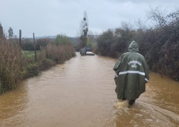 Encuentran sin vida a trabajador desaparecido en Curepto