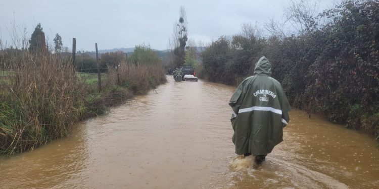 Encuentran sin vida a trabajador desaparecido en Curepto