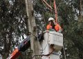 CGE informa más de 99% de recuperación del suministro afectado por temporal en el Maule