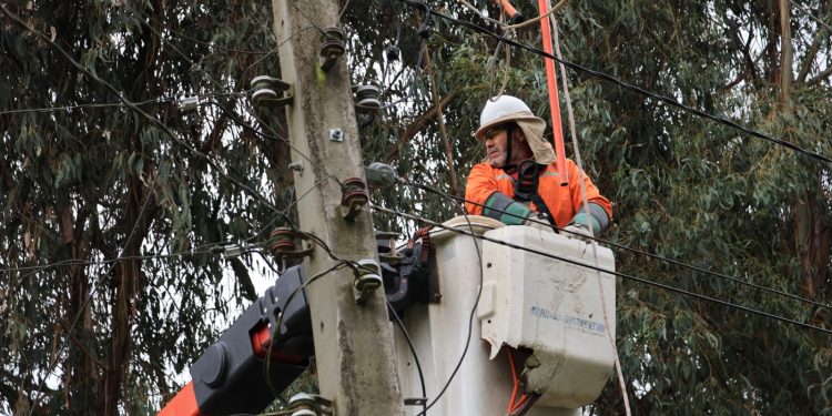 CGE informa más de 99% de recuperación del suministro afectado por temporal en el Maule