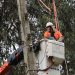 CGE informa más de 99% de recuperación del suministro afectado por temporal en el Maule