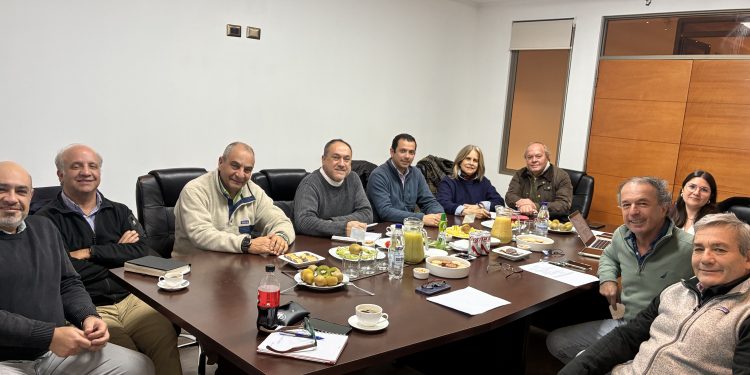 Consejo Regional GTT Maule define los lineamientos del Encuentro Regional y fortalece el trabajo colaborativo para el desarrollo de la fruticultura