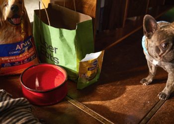 Los favoritos del delivery para celebrar el Día del Perro