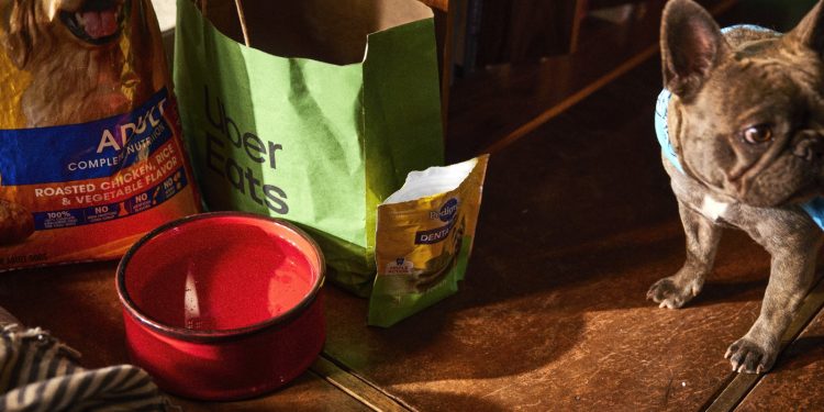 Los favoritos del delivery para celebrar el Día del Perro