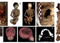Estudio internacional revela que “Niño del Cerro El Plomo” murió en un ritual de sacrificio Inca y no de hipotermia