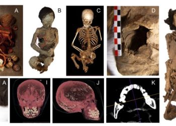 Estudio internacional revela que “Niño del Cerro El Plomo” murió en un ritual de sacrificio Inca y no de hipotermia