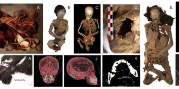 Estudio internacional revela que “Niño del Cerro El Plomo” murió en un ritual de sacrificio Inca y no de hipotermia