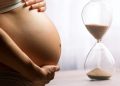 Preservar la fertilidad: La congelación de óvulos como decisión clave para el futuro reproductivo