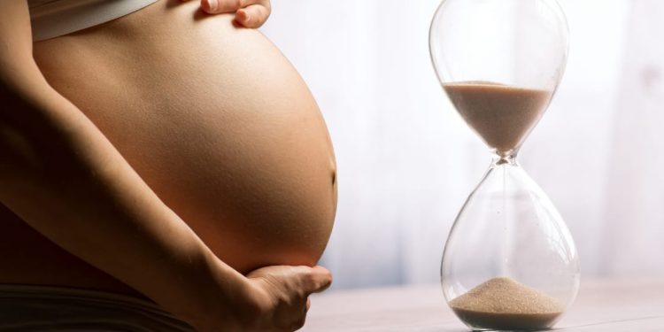 Preservar la fertilidad: La congelación de óvulos como decisión clave para el futuro reproductivo