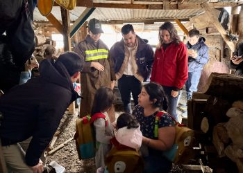 Seremi de Desarrollo Social y Familia mantiene despliegue para apoyar a niños y adolescentes durante la emergencia.