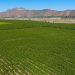 Cambio de paradigma en la agricultura: los suelos son heterogéneos, las decisiones también deben serlo