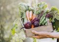 Gastronomía sostenible: ¿Por qué es tan relevante para el futuro?