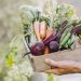 Gastronomía sostenible: ¿Por qué es tan relevante para el futuro?