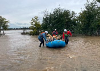 Municipalidad de Parral refuerza despliegue en terreno ante desborde de ríos y sectores aislados