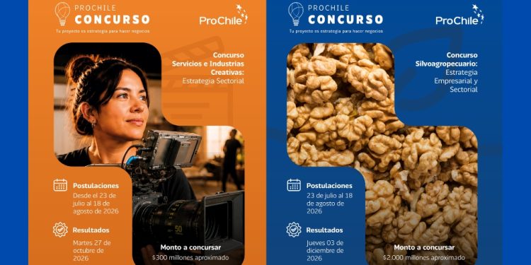 ProChile invita a empresas y gremios del Maule a participar en Concursos 2027