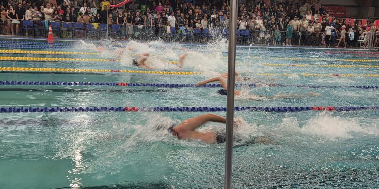 Cerca de 200 niños y niñas disfrutaron de un encuentro de natación en la Piscina Temperada Fiscal de Talca