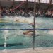 Cerca de 200 niños y niñas disfrutaron de un encuentro de natación en la Piscina Temperada Fiscal de Talca