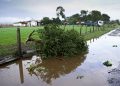 Buscan fortalecer capacidades para gestionar el riesgo agroclimático con curso gratuito