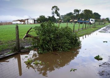 Buscan fortalecer capacidades para gestionar el riesgo agroclimático con curso gratuito